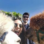alpaca-experience-walking