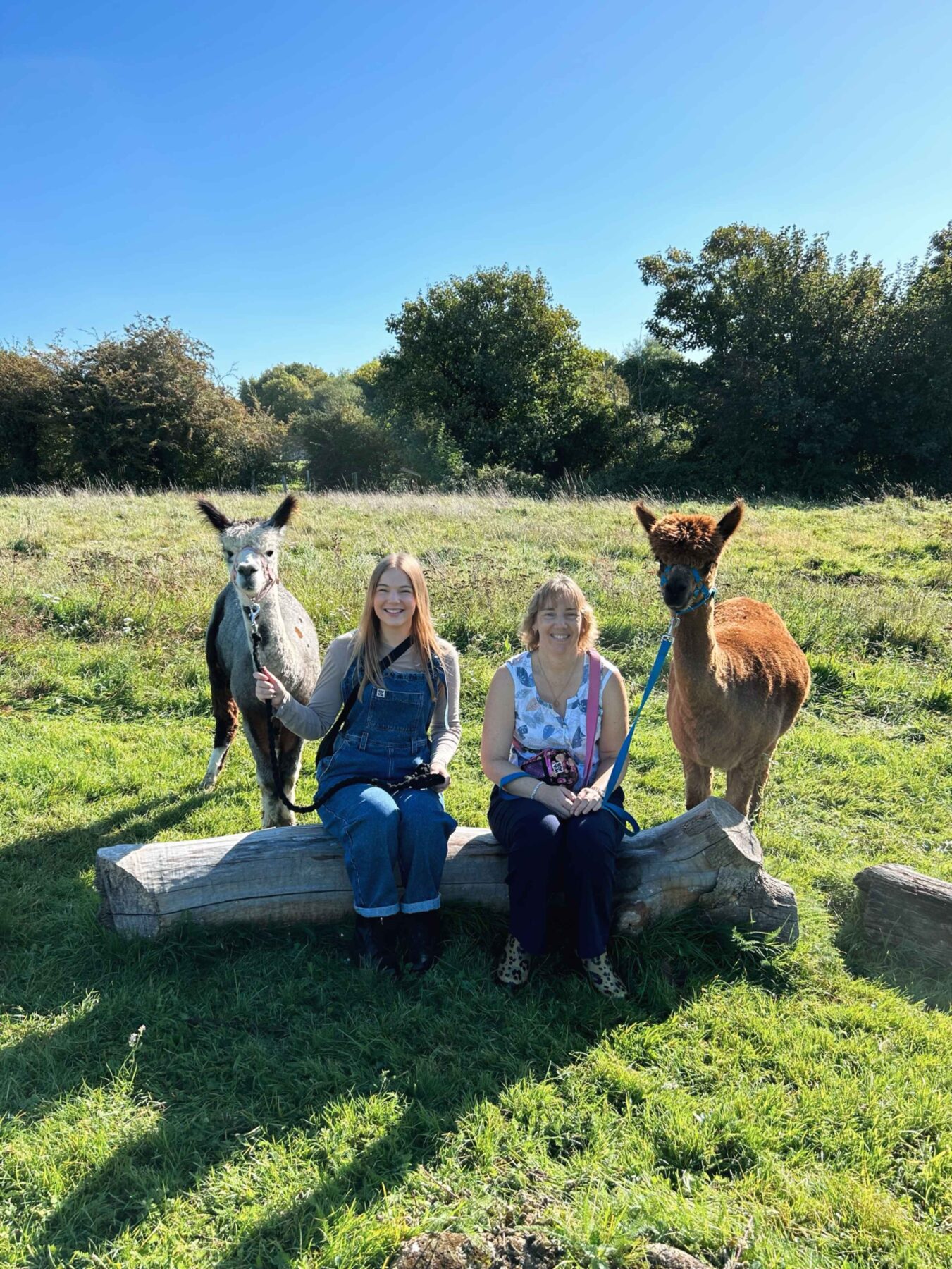 ALPACA WALKING EXPERIENCE