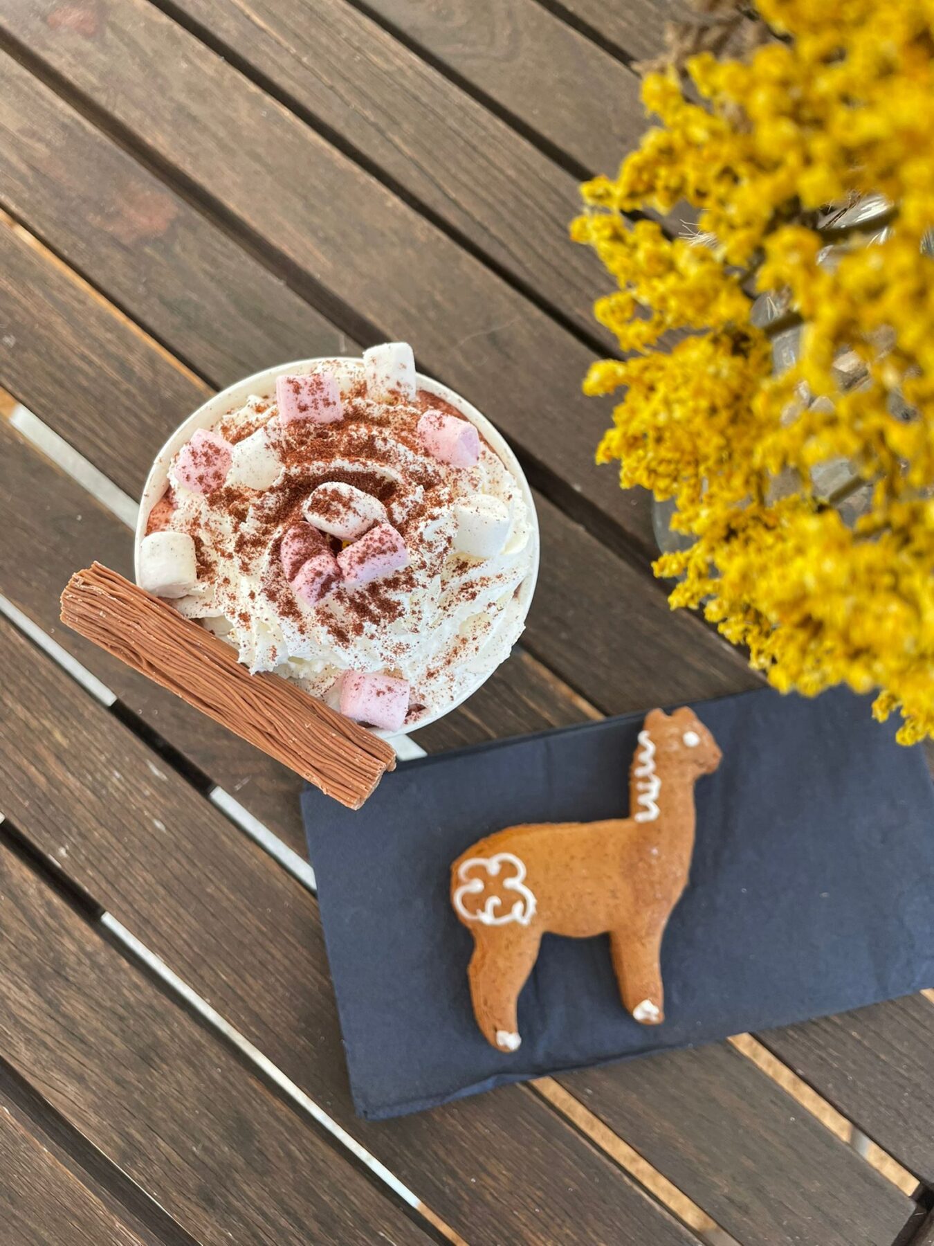 alpaca-cafe-winter